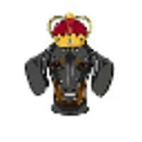 DogeKing logo