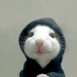 hood rat logo