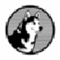 Husky Avax logo