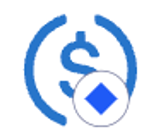 USDC-ERC20-PPT logo
