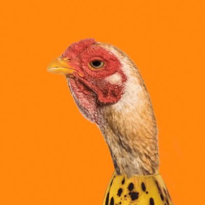 CHICKEN BANANA logo