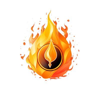 BurnedFi logo