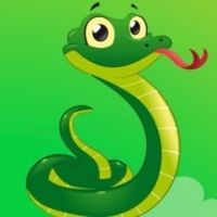SNAKE logo