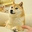 The Doge NFT logo