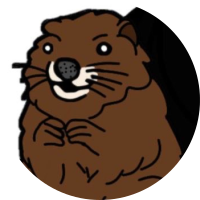 BOBER Token logo