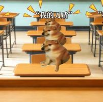 what the dog doing? logo