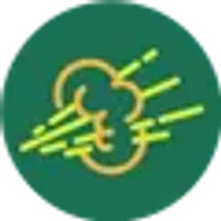 FartStrategy logo
