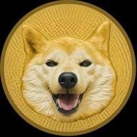 NEIRO BROPUMP logo
