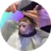 monkeyhaircut logo