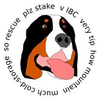 BERNESE logo