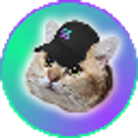 CatSolHat logo