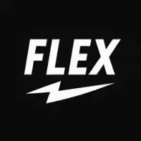 FLEX logo