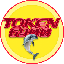 TOKEN6900 logo