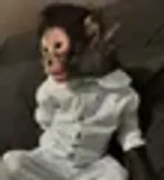 MONKEY TAKEN BY POLICE logo