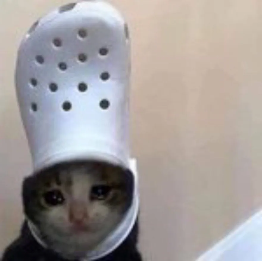 croc cat logo