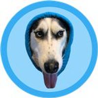DOGWIFHOOD logo
