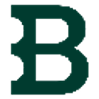 Bitstamp logo